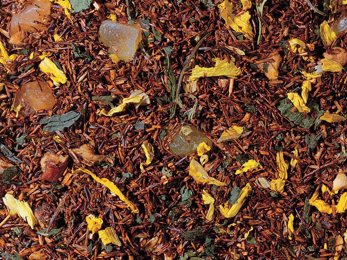 Pumpkin Cream Rooibos