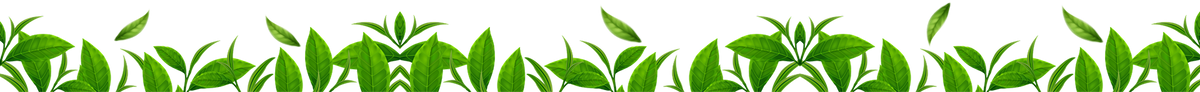 footer bottom logo
